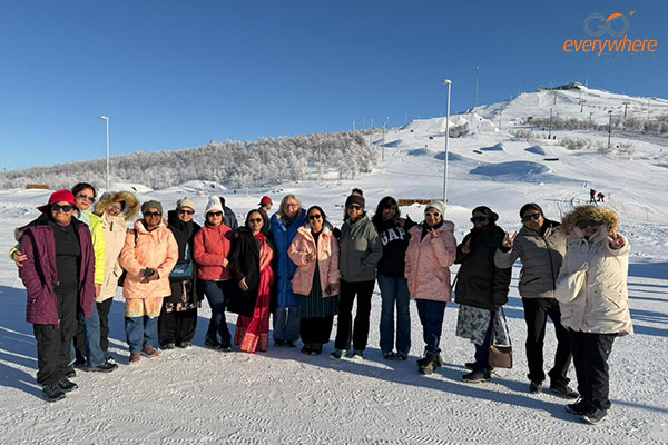 Magical Aurora Gallery