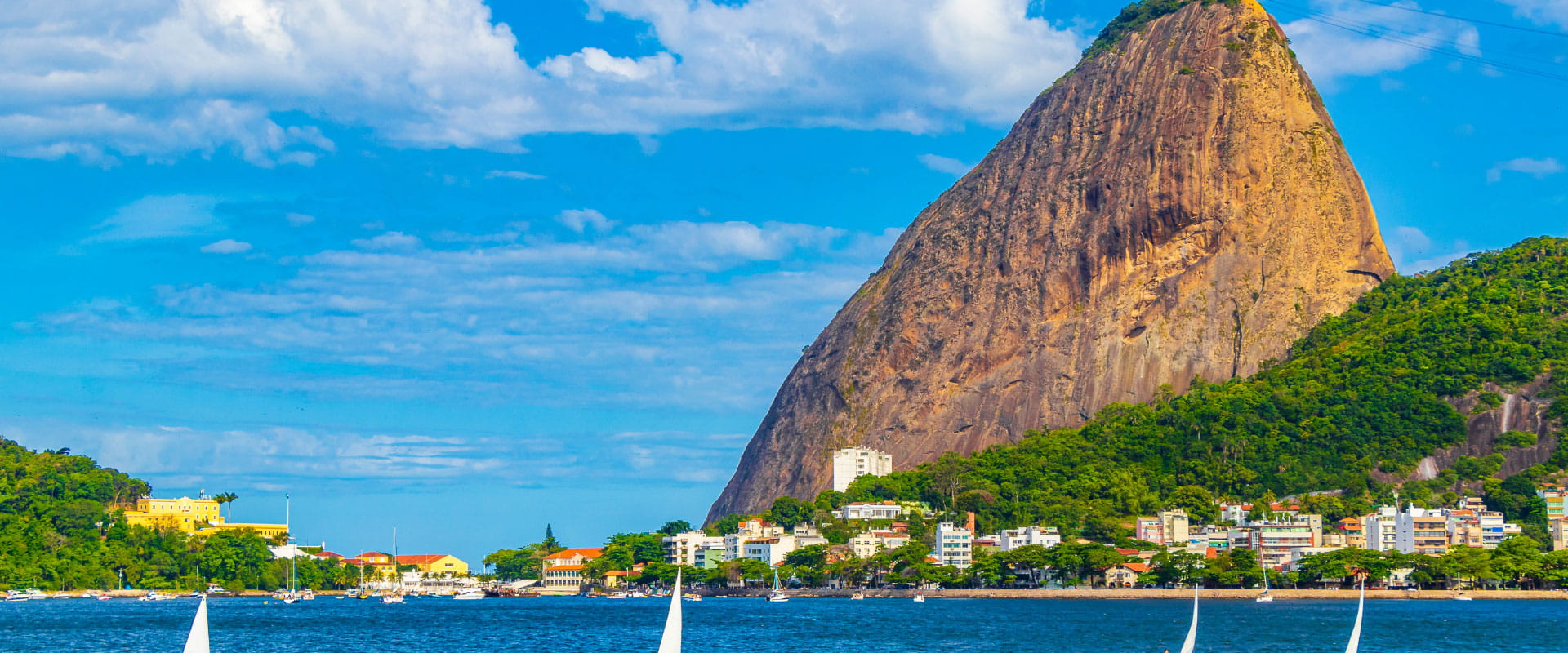 Cruise In Guanabara Bay
