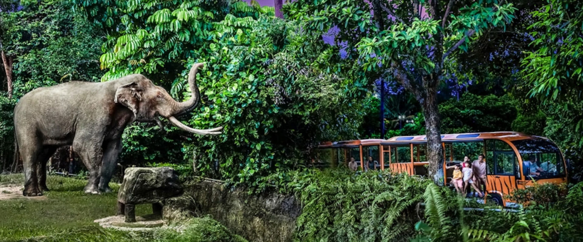 Singapore Night Safari