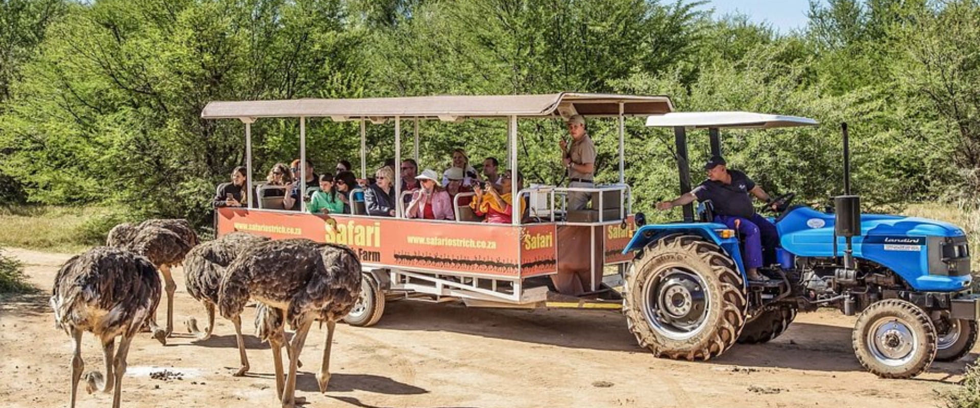 Wildlife Ranch And Ostrich Farm